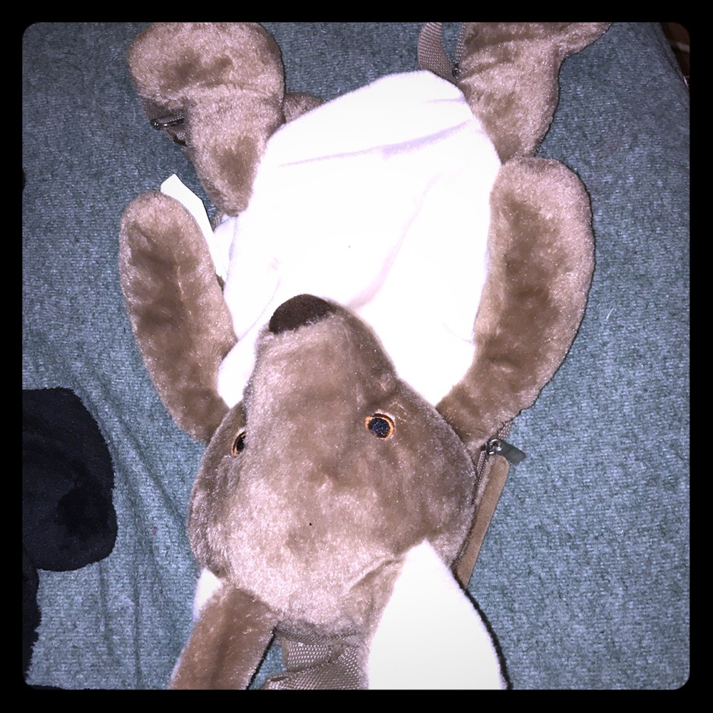 Kangaroo Backpack